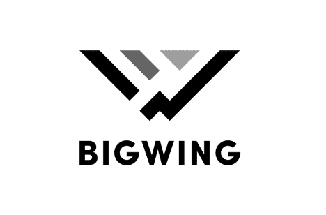 bigwing